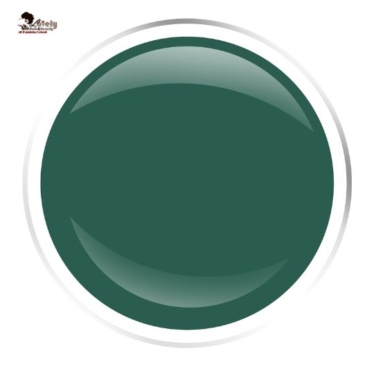 PRESTIGE LINE Color Gel Eden 5ml