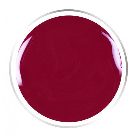 PRESTIGE LINE Color Gel Indiana 5ml