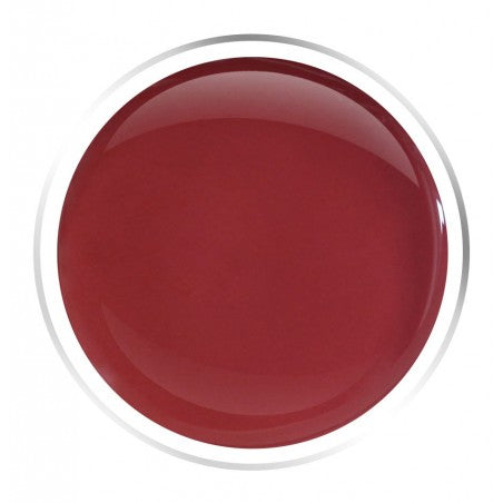 PRESTIGE LINE Color Gel Grizzly 5ml