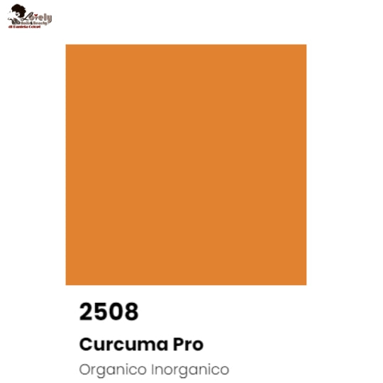 Pigmento Clinita - per nautralizzazione - Curcuma pro 2508
